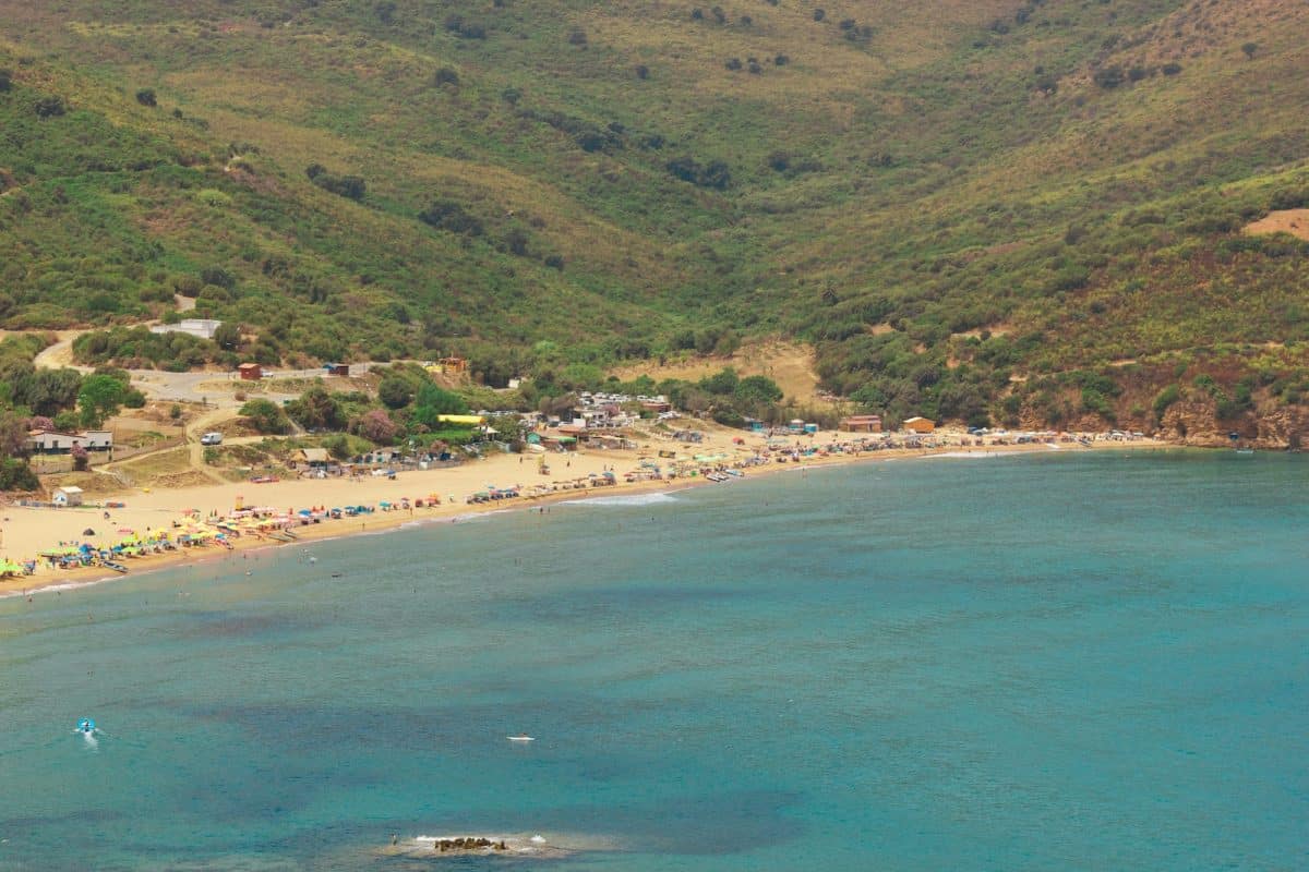 people on beach during daytime