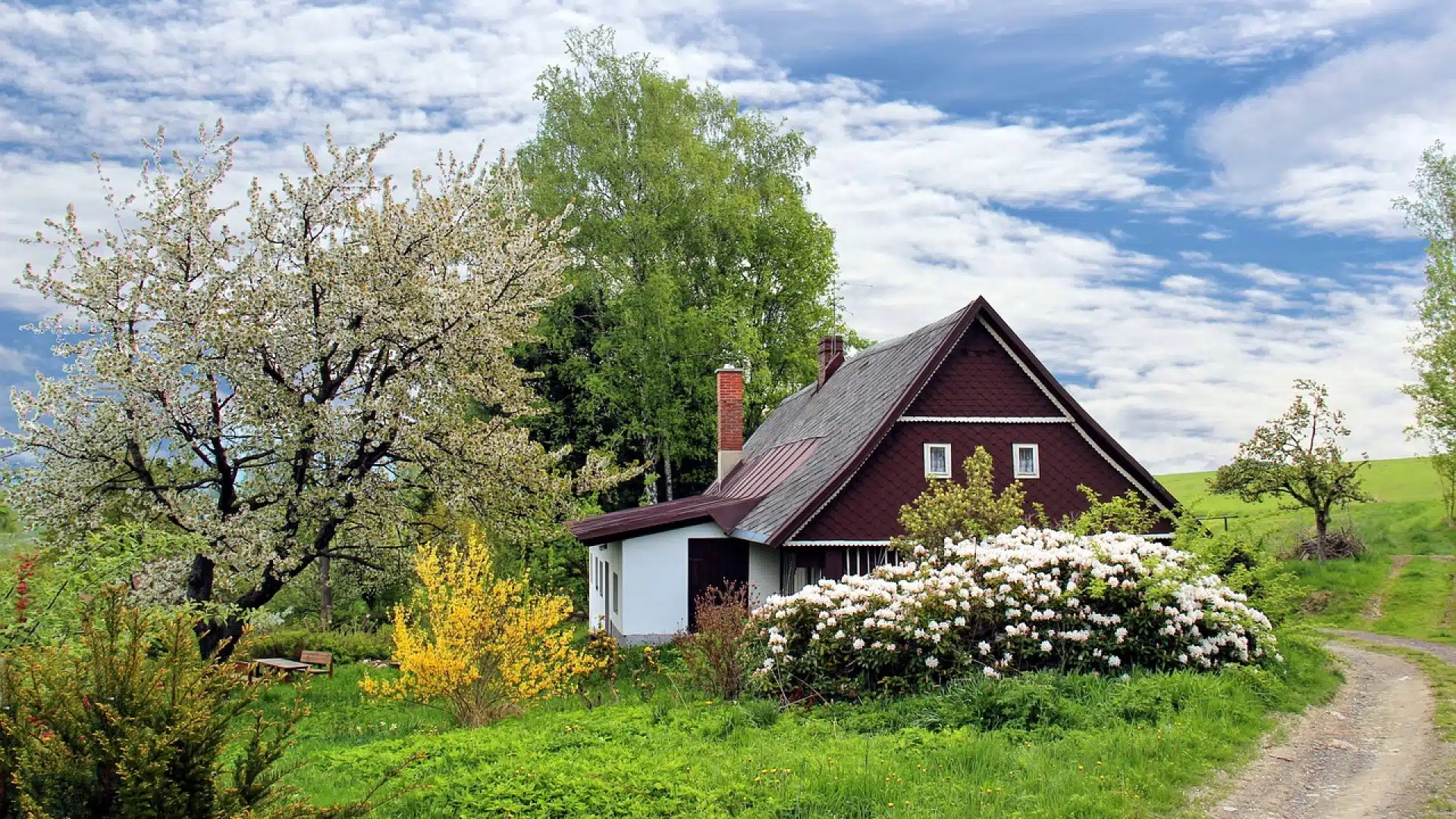 Que savoir sur la permaculture ?